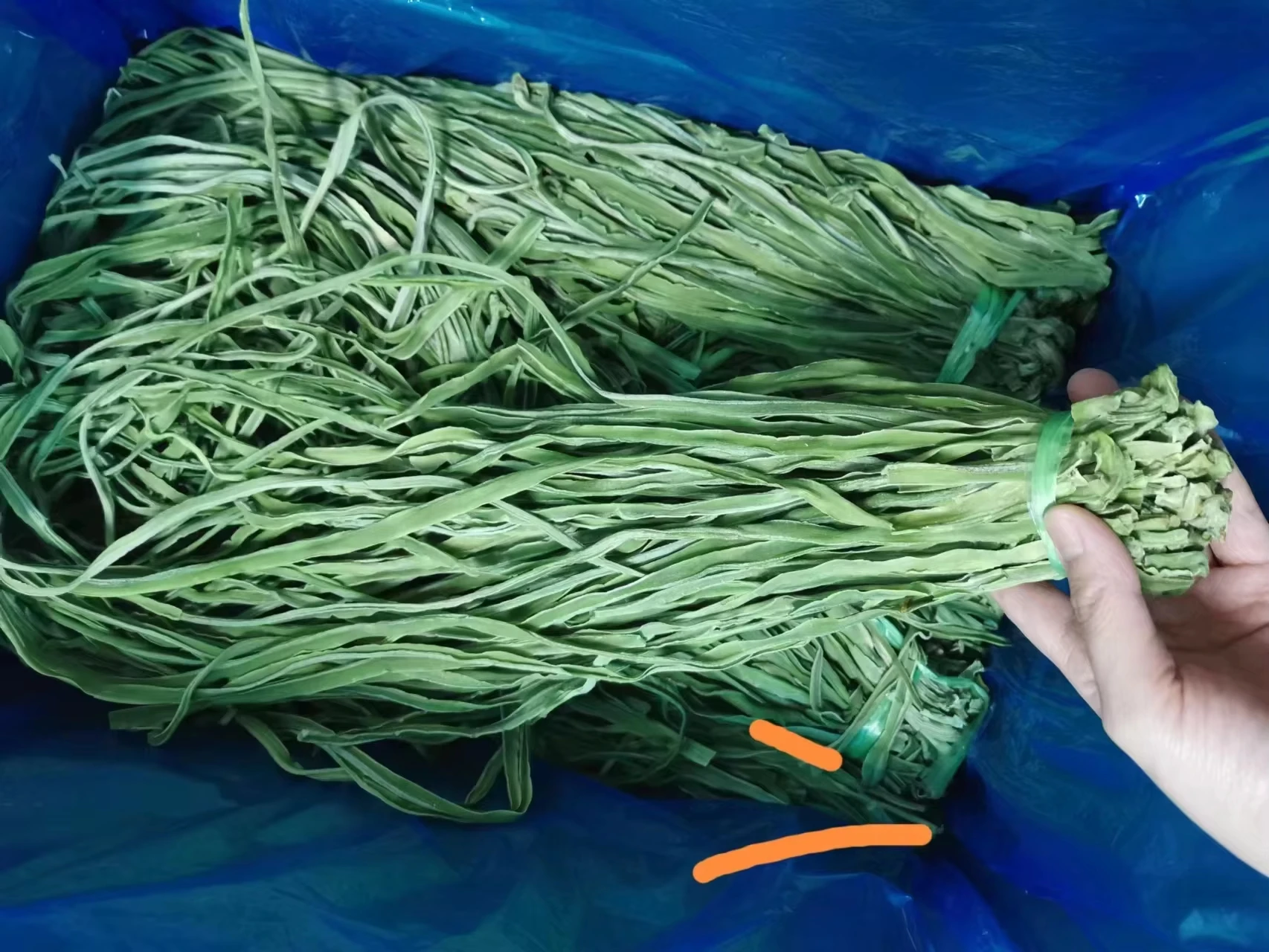 Wholesale Dehydrated Gongcai | Factory Direct Bulk Hc9197aed73b8438ca5a6ed7e196d12a4F