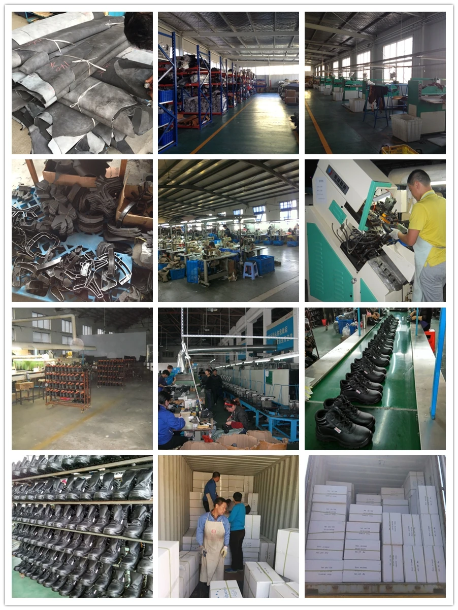 Customization capabilities