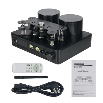 AV-889 Hifi 200wx2 Tube Amplifier - Lossless Decoding Audio