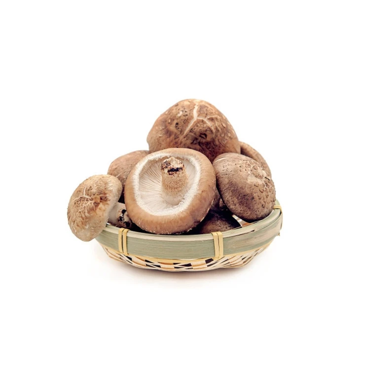 Изысканная ручная работа, цельная форма, мясистый сушеный гриб шиитаке для ежедневного еды