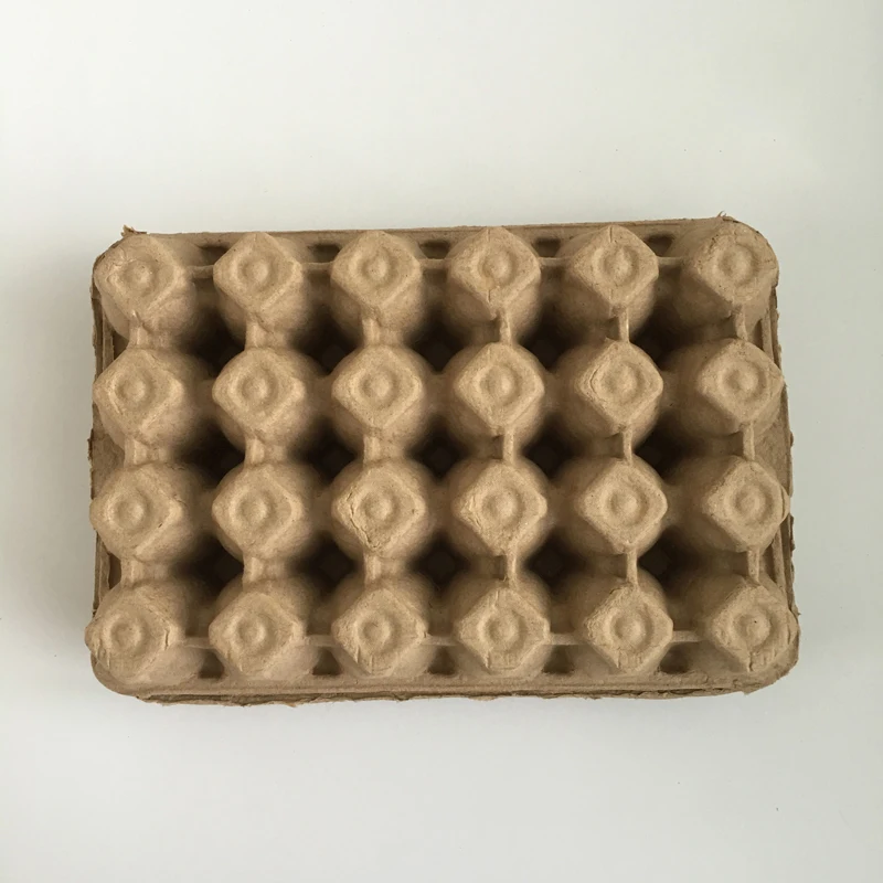 Egg Cartons For Quails 6 Cells Black Egg Carton Pulp Egg Tray South