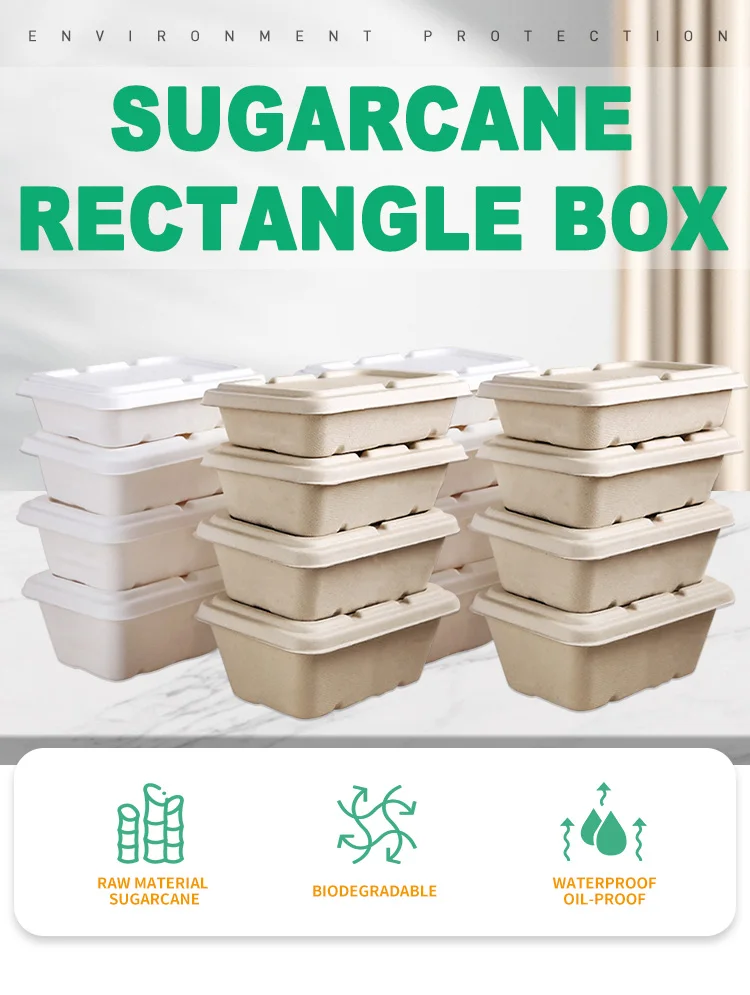 Ecofriendly Disposable Biodegradable Sugarcane Bagasse Pulp Take Away