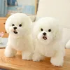 Bichon frise _ 38*16*28cm