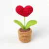 Red love potted plant-mini wool basin