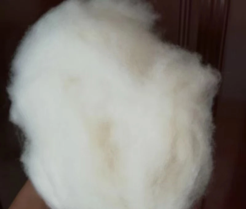 100 Cashmere Scoured Dehaired Goat Wool Pure Raw 7 Cashmere Fiber