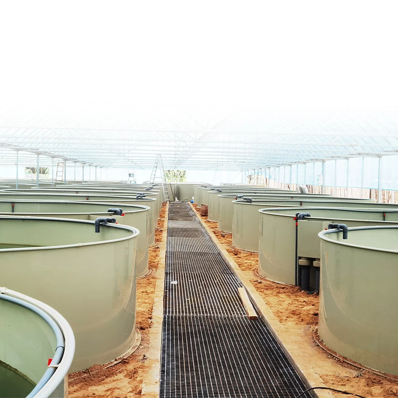 Akvakultur innendørs oppdrettssystem