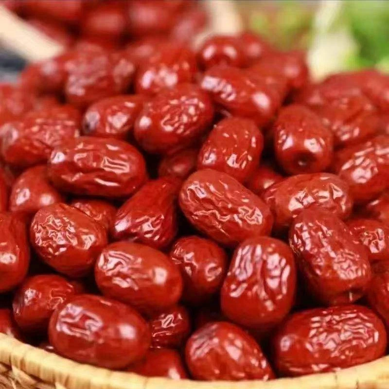 Freeze Dried Jujube for Wholesale | Bulk B2B Supply Hc928749348364a409036e796549f0c93k