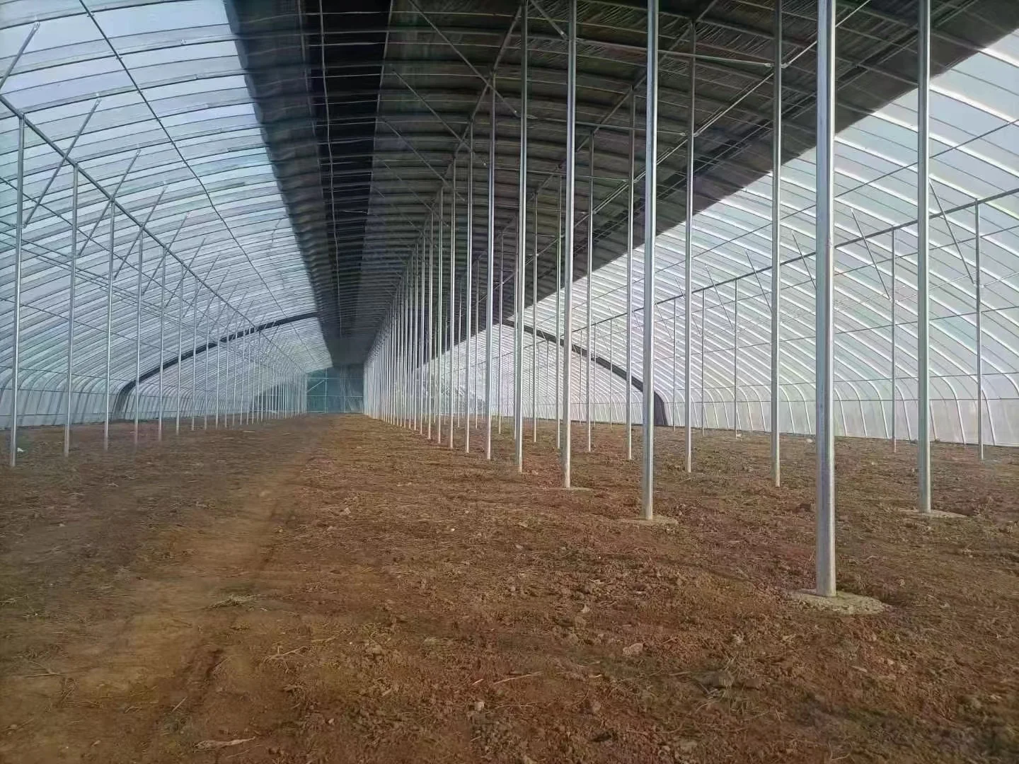 Low Cost Commercial Tunnel Greenhouse For Tomato Greenhouse Manufacturing Greenhouse Kit Buy