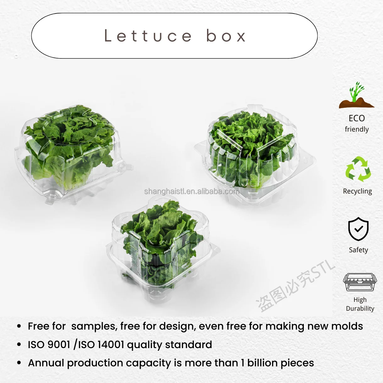 Custom Clear Plastic Clamshell Blister Lettuce Packaging Container Food
