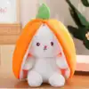 สีส้ม