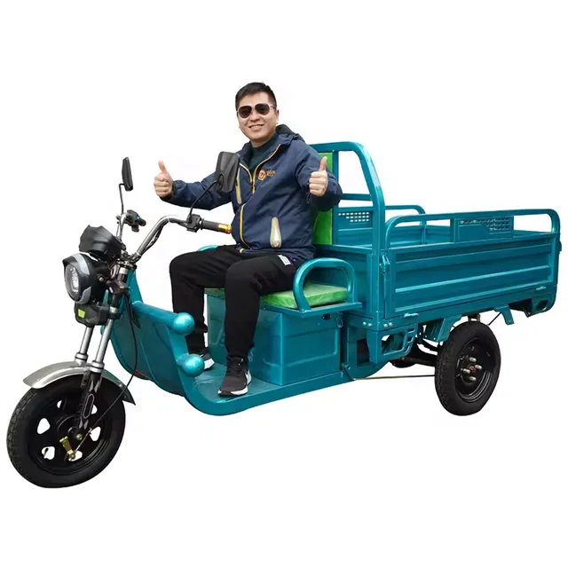 US/EU warehouse Made in CHINA tricycle cargo truck Multiple Color in stock cargo electric tricycle stainless steel three wheel