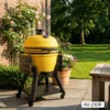 Giallo-23"
