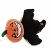 Pumpkin head