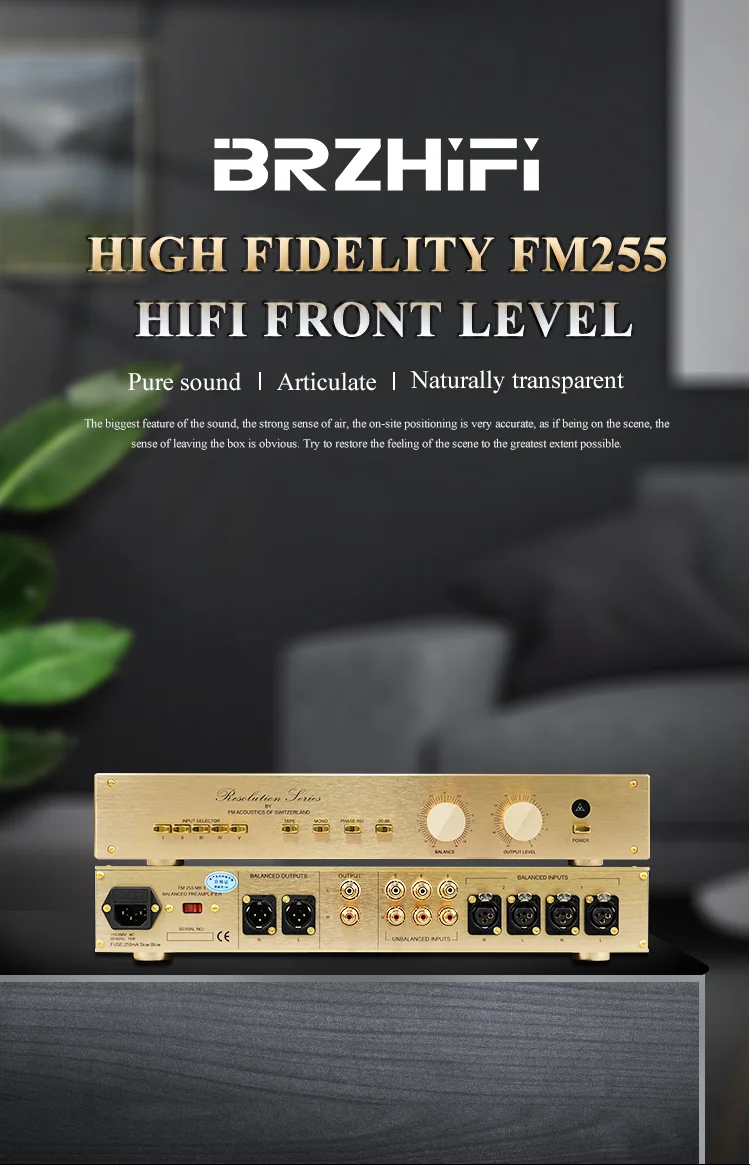 BRZHIFI FM255 Classic HI-END Audiophile Balanced Stereo Amplifier Preamplifier Switzerland Audio Clone Receiver HI-END Preamp factory