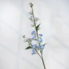 Blu-chiaro