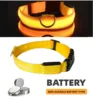 Orange1
