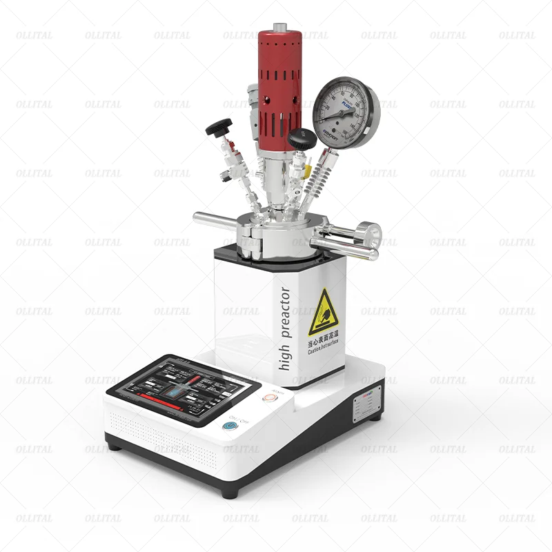 Hydrothermaler Hochdruckreaktor 100 Ml – PPL-Kammer, 280 °C, 3 MPa – Edelstahl 304L – Für Synthese & Probenaufschluss