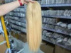 photo10