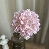 #3 Pink