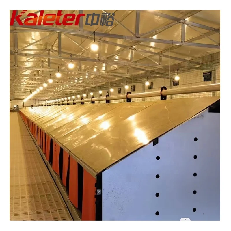 Poultry Nesting Box Automatic Collector Egg Nest Chicken Farm Laying Eggs Roll Away Hens Coop Machine