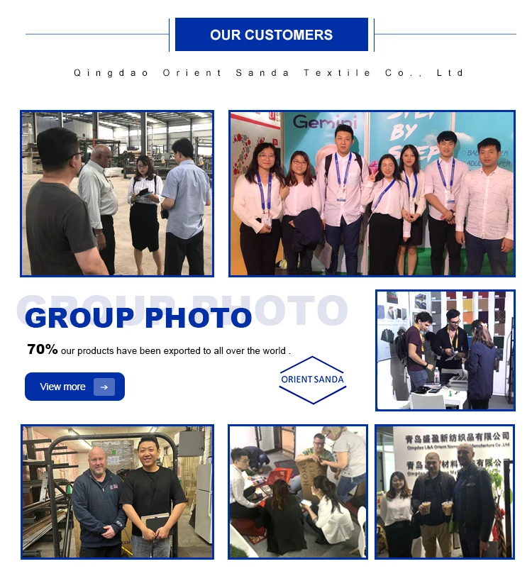 Luxury Axminster Carpet 5star Hotel Corridor Carpet And Ballroom