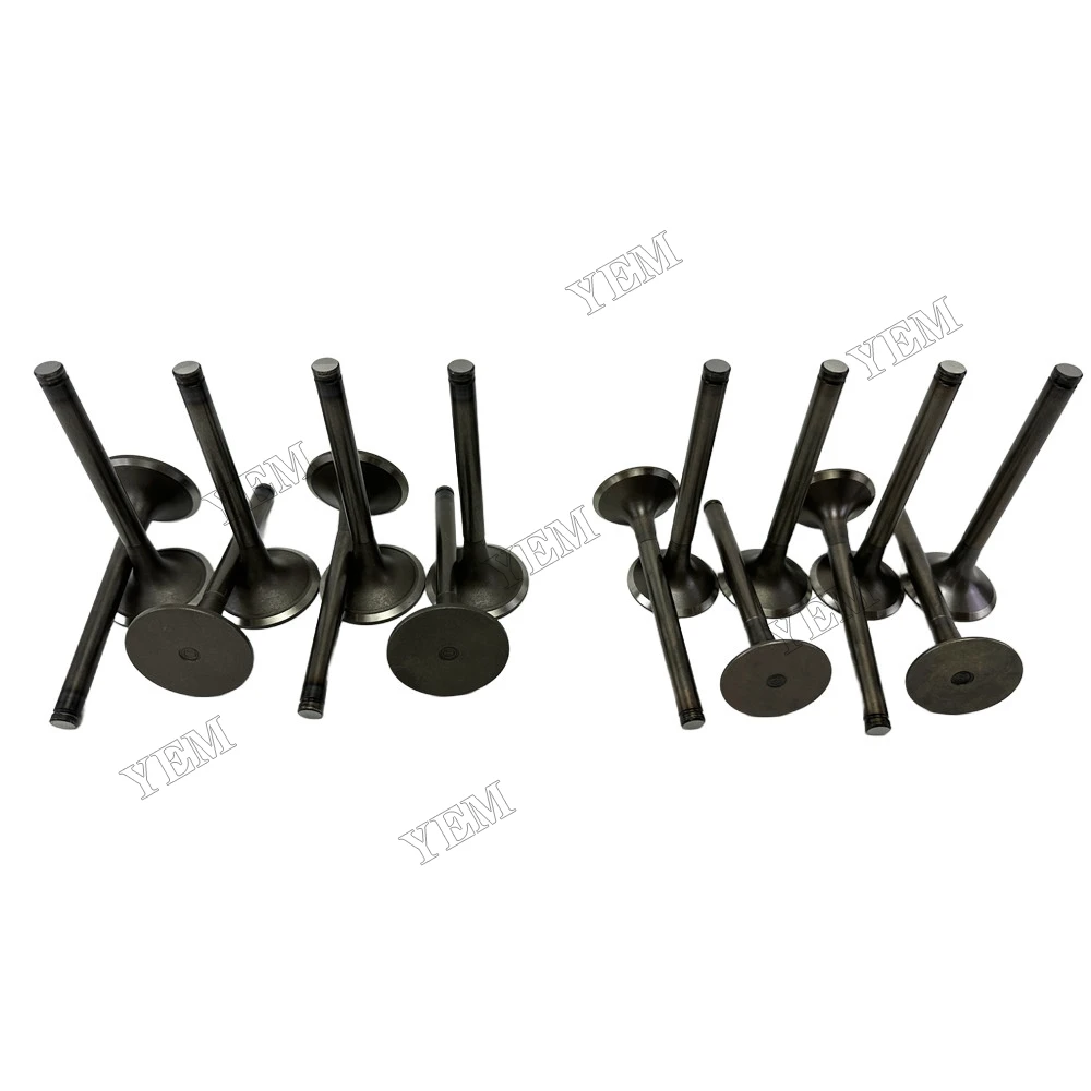 Intake and Exhaust Valve Fit for Doosan Develon D2848 Engine 3