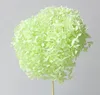 light apple green