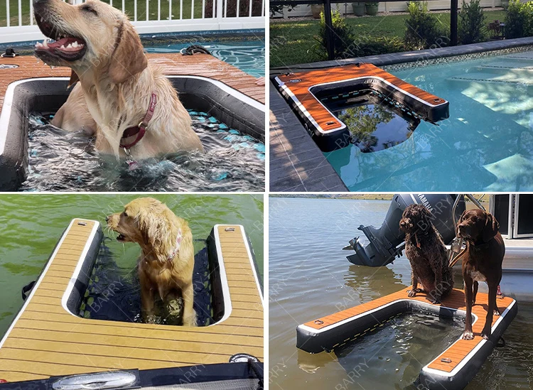 Labrador Swimming Pool Ramp Portable Floating Dog Water Ramp Ladder for Pools, Boats & Lakes ...