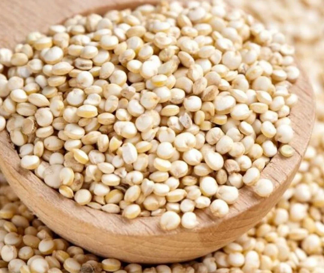 White Quinoa For Sale - Buy White Red And Brown Quinoa,Quinoa,White Quinoa  For Sale Product on Alibaba.com