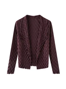 Miyake Style Vintage Pleated Poncho Women's Spring New High-end Temperament Long Sleeve Spandex Material Crumple Technique Top