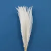 blanco natural