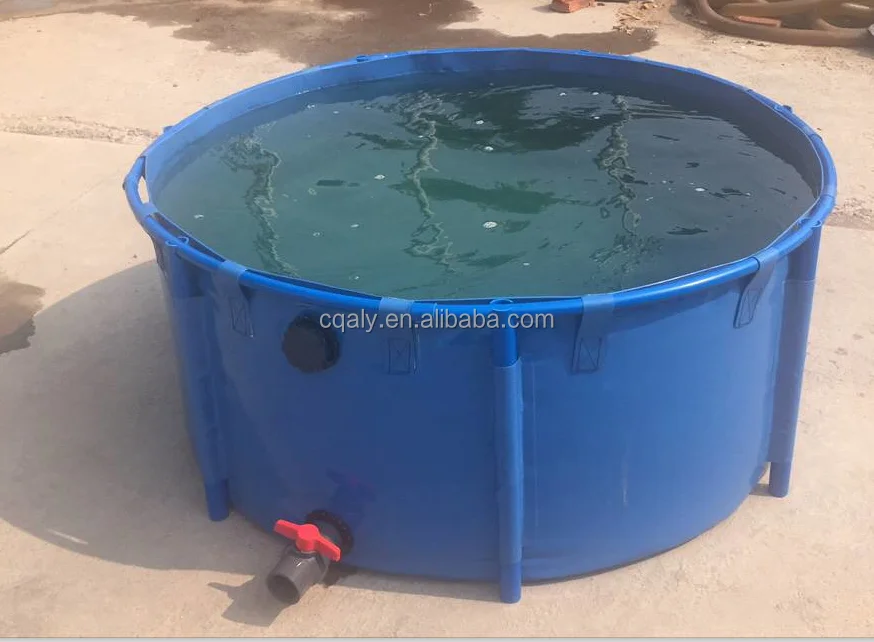Ras System Aquaculture Pond Biofloc System Shrimp Tilapia Fish Farming Tank Buy Recirculating