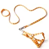 Conjunto naranja