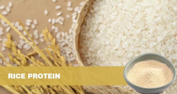 organic rice protein