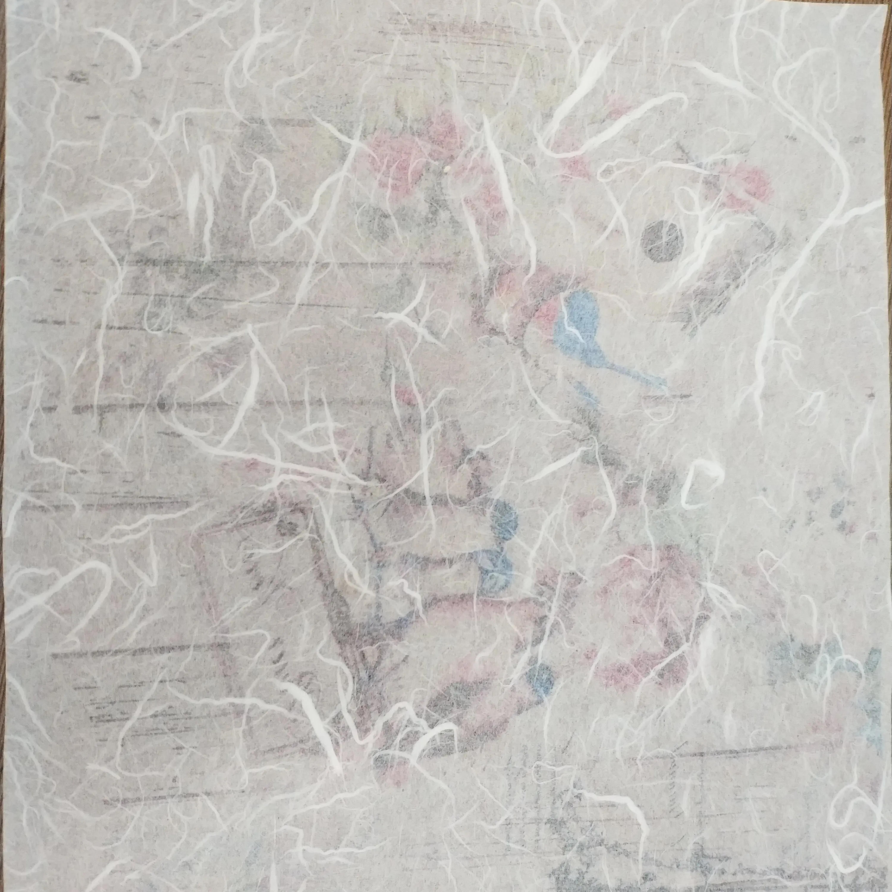 back side csp-039-1