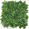 Hiedra verde manchada amarilla pegada 50cm*50cm