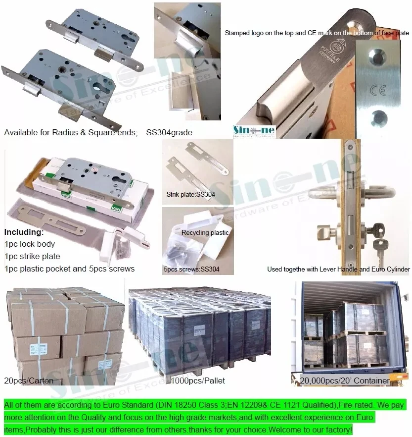 Euro Profile Mortise Classroom Function Lock Stainless Steel with Satin ...
