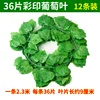 Color-printed 36 grape leaves-12 strips pack