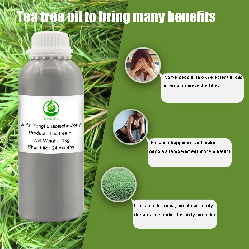 Factory Bulk Australian Tea Tree Essential Oil 100 Pure Natural