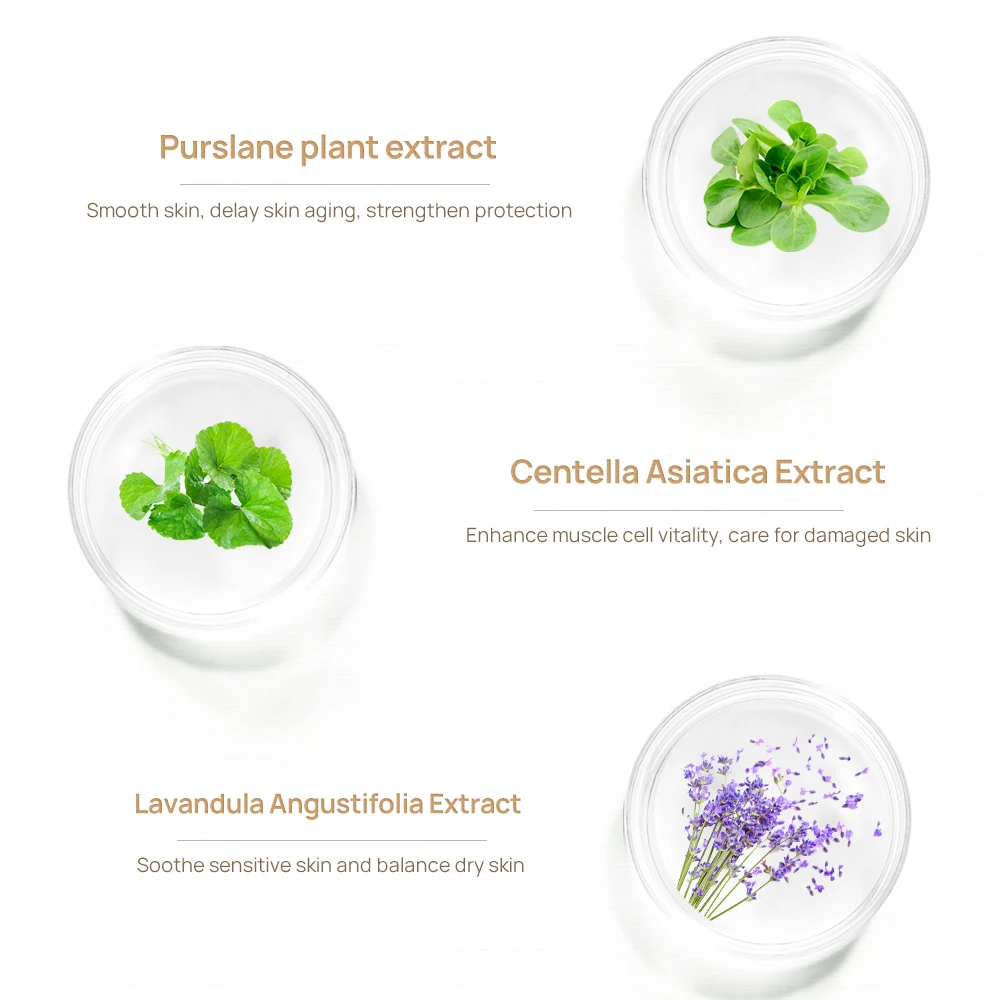 LANBENA Herbal Skin Repair Acne Scar Removal Serum Removal Stretch Marks Oil factory