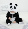 New panda