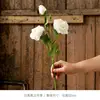1 white rose with burnt edges