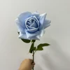 Blue rose heads 13cm