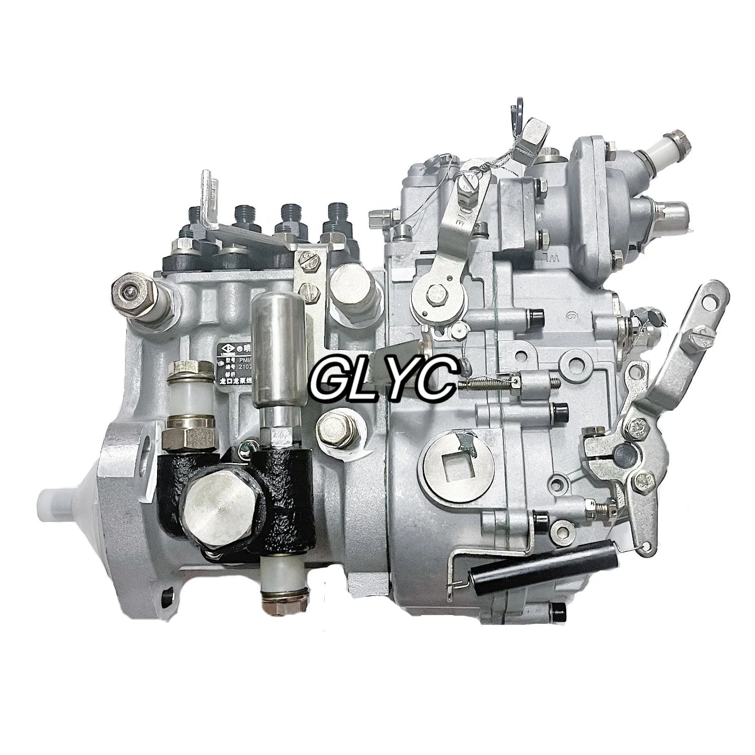 Genuine Longkou Diesel Fuel Injection Pump 20516z Fuel Pump Bht6p120r