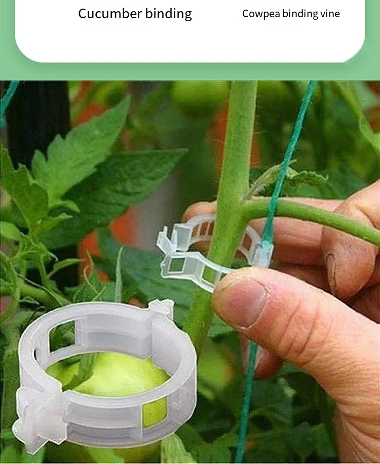 Vine hanging vine green plant vine fixation clip pepper eggplant fixer seedling plant clip supplier