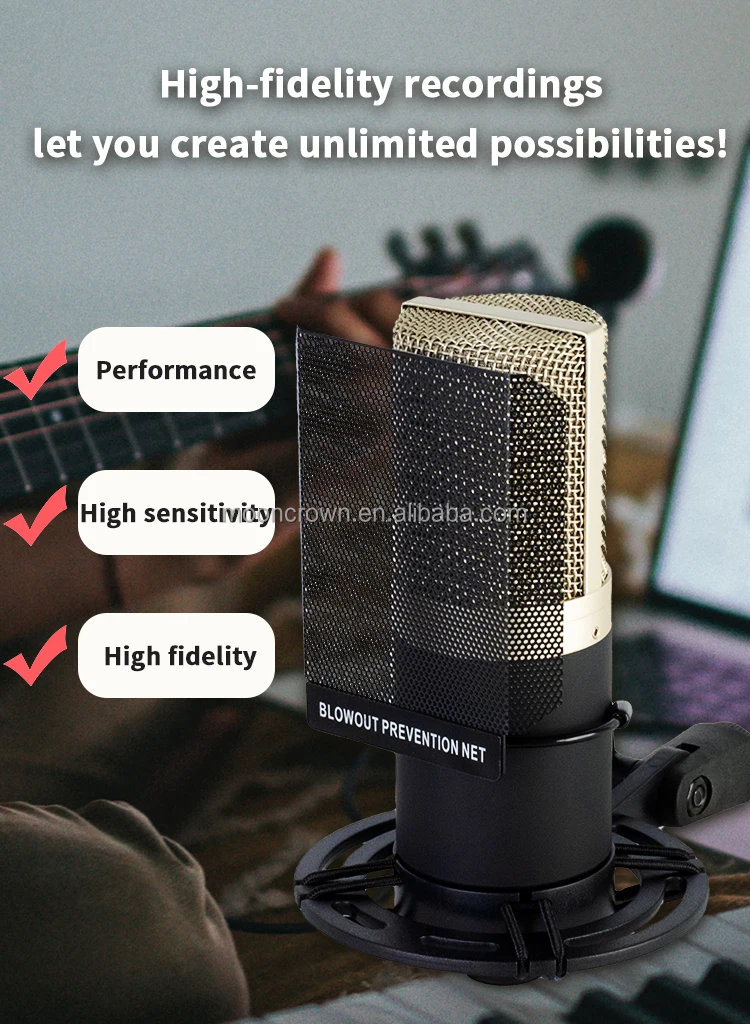 ZX-797 Condenser Microphone - Professional Recording Studio