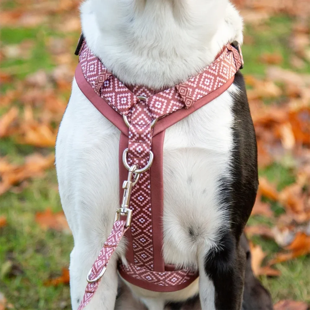 OEM Custom Pattern Dog Harness With Matching Leash Collar No Pull Walking for Small Medium and Large Dogs