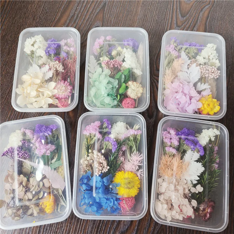 Pressed Flower Art, Dry Flowers, Dried Pressed Flowers for Crafts, Wedding  Decoration, Dried Flowers for Resin, Resin Art, Jasmine 20 Pieces 