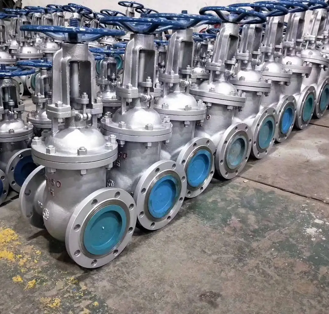 COVNA 6 Inch ANSI Class 150 Flanged Gate Valve - CF8M Stainless Steel ...