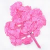 Foglia di Ginkgo rosa